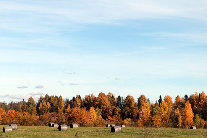 Rudens ainava.
