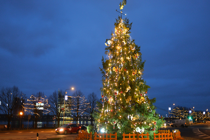 Rīgas egle 11. novembra krastmalā (autors Visvaldis Asaris).