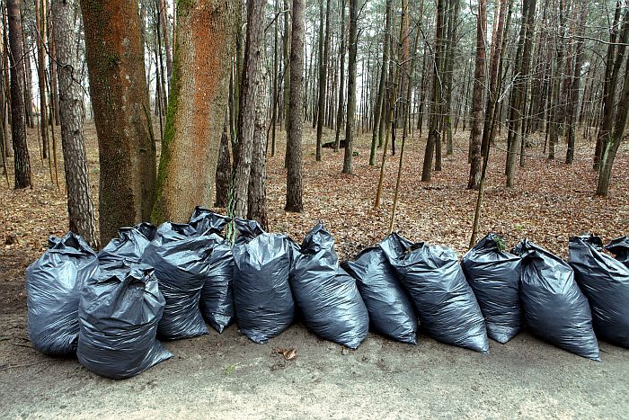 Atkritumu kaudzes Lielās talkas laikā Mežaparkā.