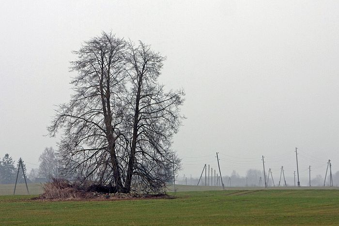 Ilustratīvs foto