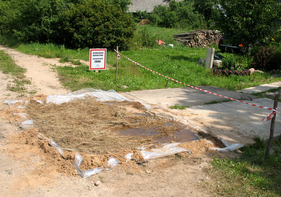 Dezinfekcijas baseins pie Krāslavas novada Kalniešu pagasta saimniecības, kur nokautās un sadedzinātas ar Āfrikas cūku mēri slimās cūkas.