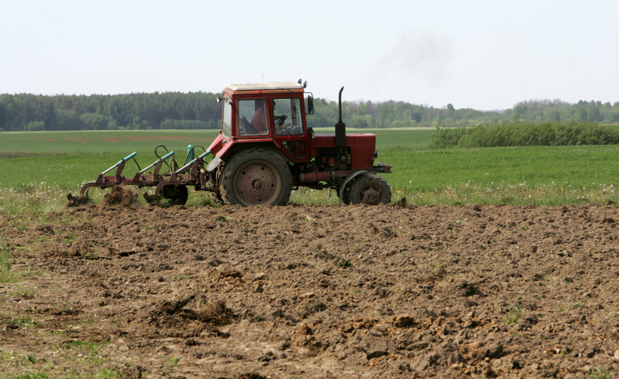 Traktors apstrādā zemi.