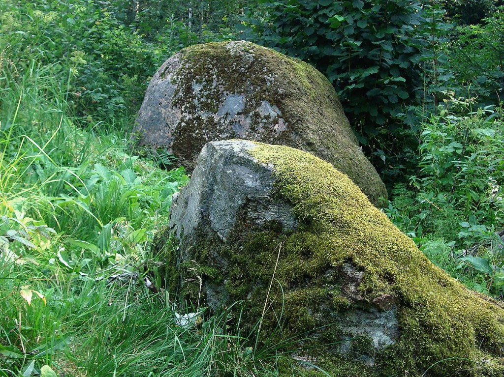 Jo zemes nogulumu iežu kārtainā “kūka” biezāka, jo labāk jūtamies uz tās. Visbiezākā nogulumu iežu kārta ir Viduskurzemē (visvairāk Dobeles un Saldus novados) un Austrumlatvijā – īpaši Madonas novadā. Piemēram, mājas “Pelādes” saimnieks Rolands Ķemers zina par Pelādu svētvietu, kur vairākiem akmeņiem ir spēcīgs starojums.