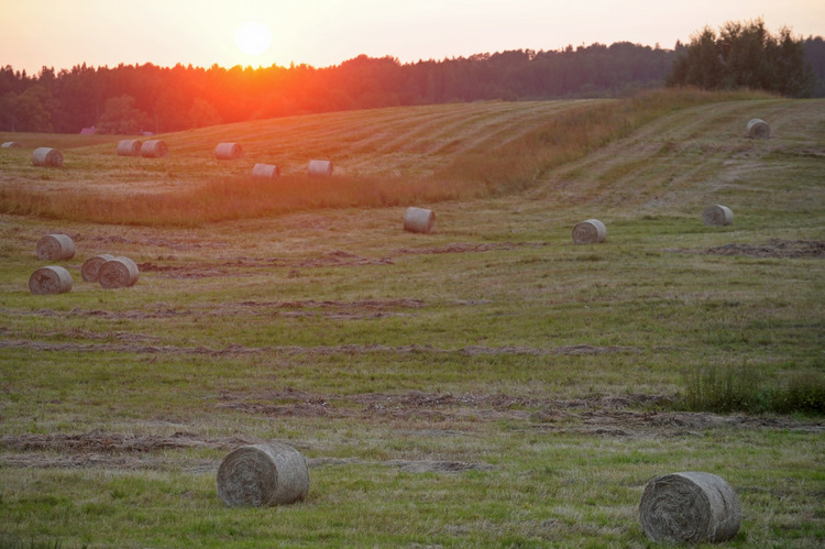 Lauku ainava ar saulrietu pie Jaunpiebalgas.