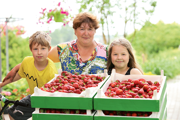 Zemeņu laiks Anitai pats karstākais darba cēliens – ogas jālasa, uz tirgu jābrauc un pa starpu ģimenei buka šmorējums jāpagatavo. Vasarās pie vecmāmiņas ciemojas mazbērni Emīls un Evelīna.