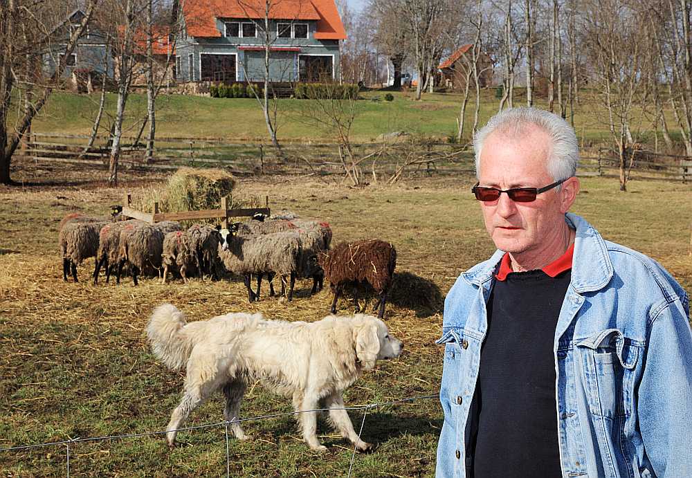 SIA “SF17” saimnieks Joahims Šultheiss: “Lai eksports augtu, jāaug aitu skaitam, kā arī jāaudzē noteiktas šķirnes aitas. Es šoruden plānoju uz Baltkrieviju eksportēt vaislas dzīvniekus.”