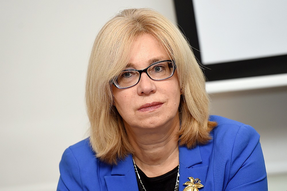 Ina Druviete