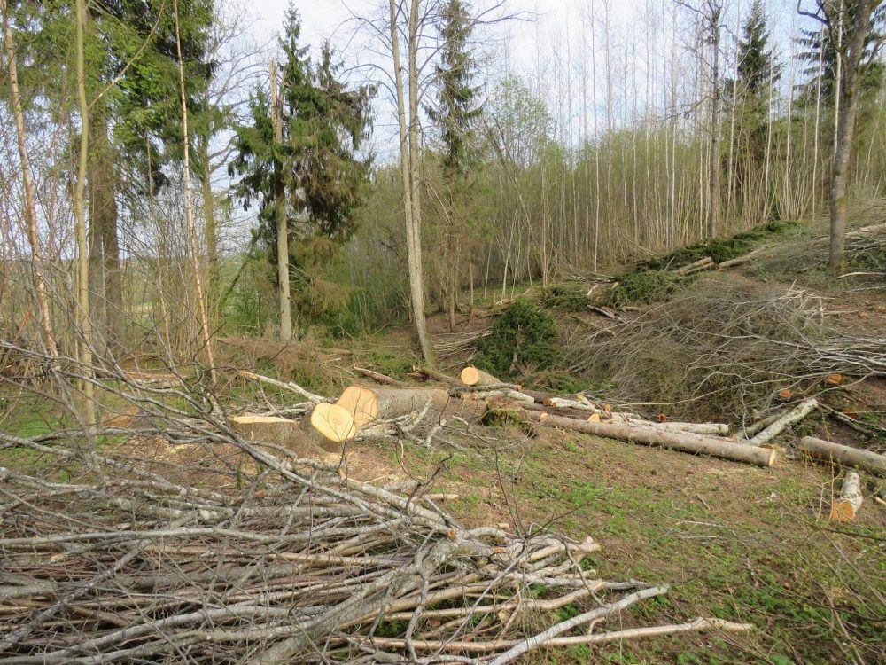 Foto Jānis Priednieks