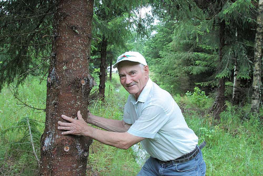 Dzintars Balodis