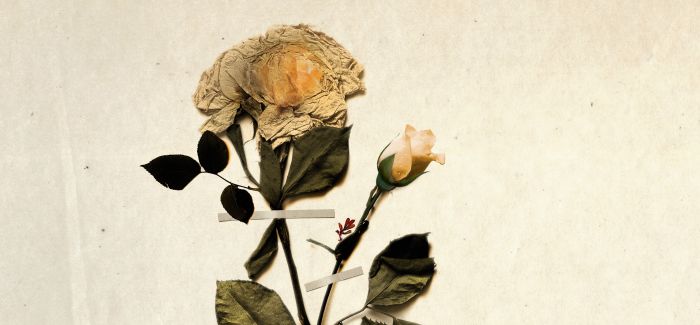 Zigmara Liepiņa operas “Turaidas Roze” imidžbilde.