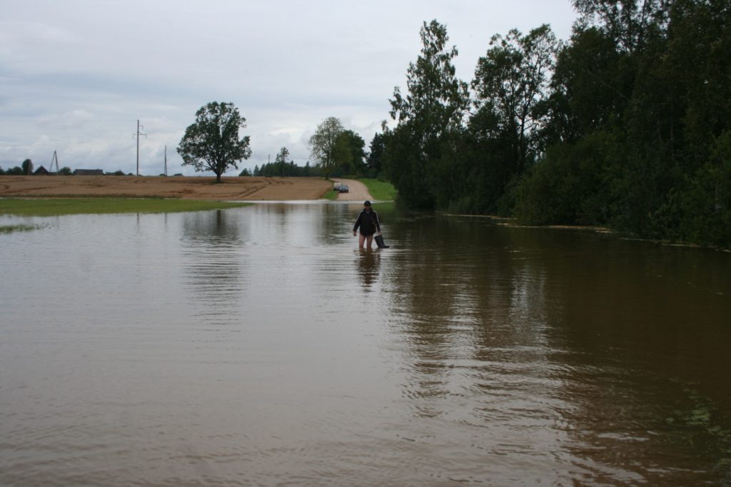 Skats uz saimniecības ” Māras zeme” īpašumu