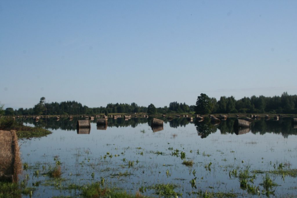 Skats uz saimniecības “Māras zeme” īpašumu