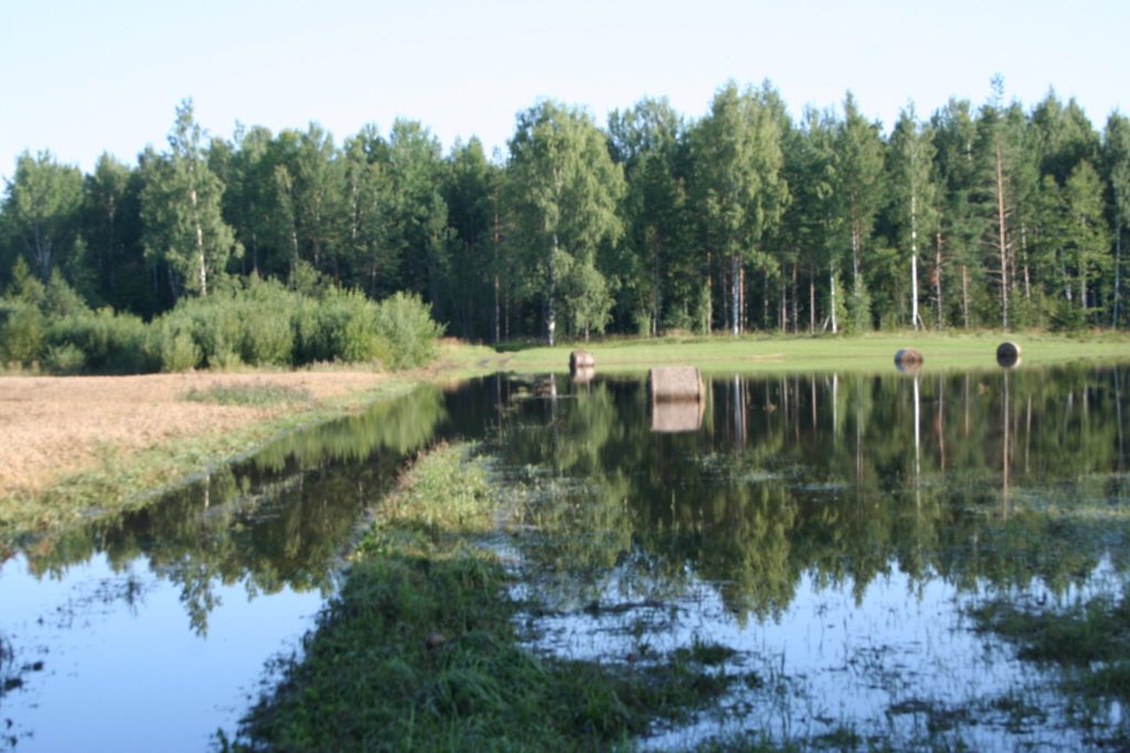 Skats uz saimniecības ” Māras zeme” īpašumu