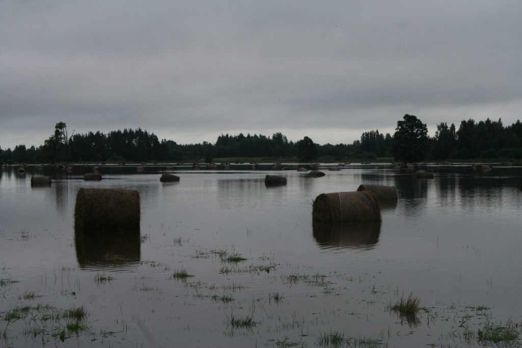 Skats uz saimniecības ” Māras zeme” īpašumu