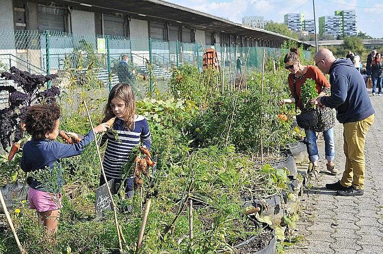 Lilles bijušās vilciena stacijas teritorija atvēlēta pilsētas dārzkopībai, kurā rosīties var ikviens iedzīvotājs.