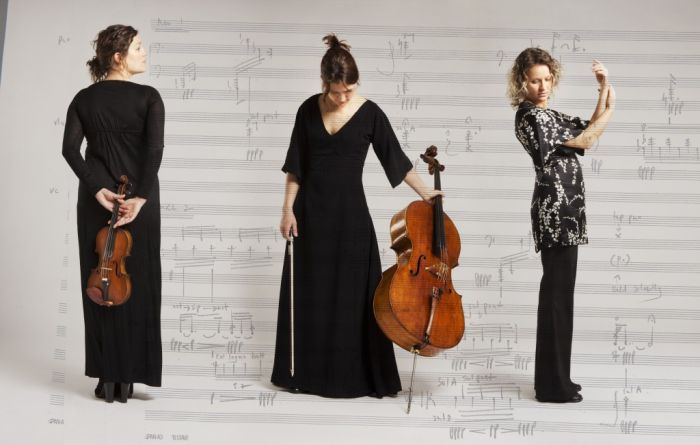 “The Alpaca Ensemble” no Norvēģijas.