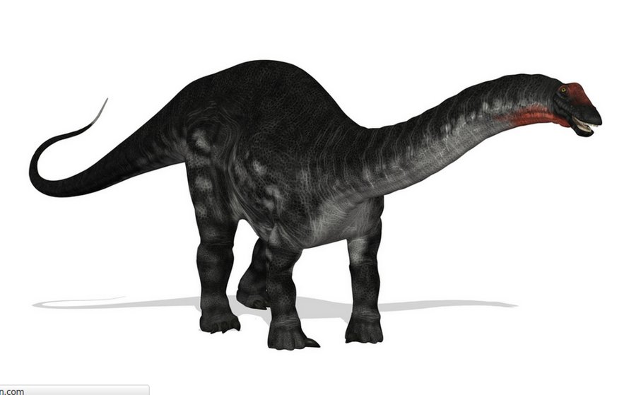 Tiek uzskatīts, ka noslēpumainais Kongo purvu “briesmonis” mokele-mbembe ir neizmiris zālēdājs dinozaurs apatozaurs.