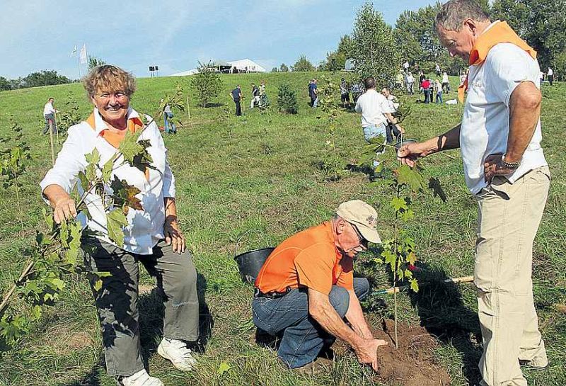 Meža dienu talkā, stādot kļavas Zābaku kalnā.