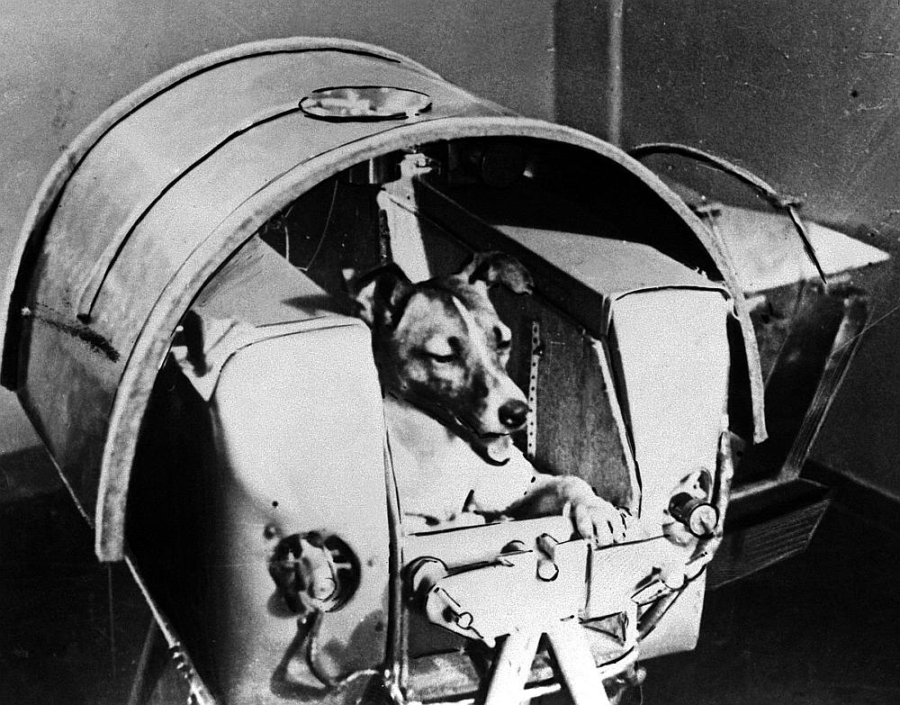 Laika orbitālajā aparātā.