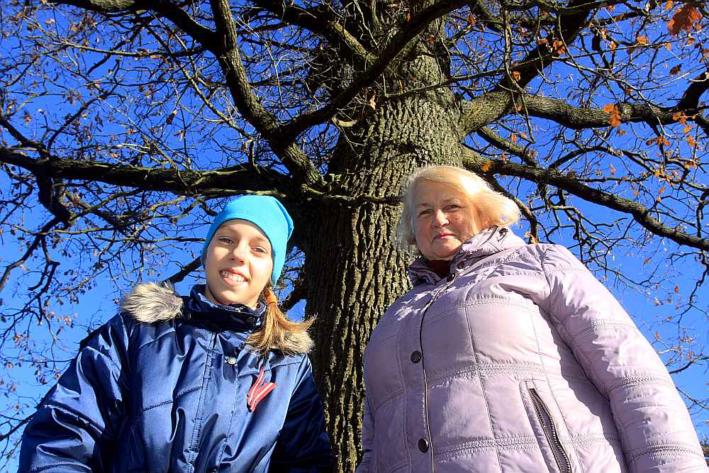 Mazmeita Rūta Šķirus, kura dzīvo Jelgavā, bieži ciemojas pie vecmammas Skaidrītes Urbānes un dodas līdzi dižkoku apsekošanā.