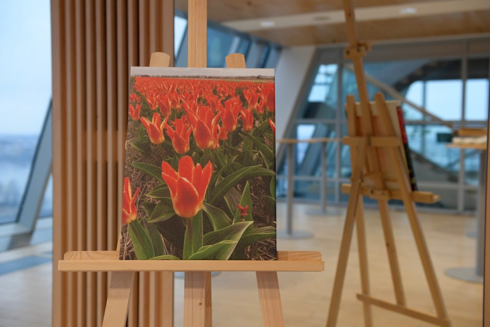 Tulpe “Mariss Jansons”