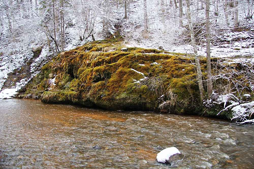 Raunas Staburags ir lielākais avotu kaļķakmens veidojums Latvijā, kas saglabājies, cilvēka nepārveidots.