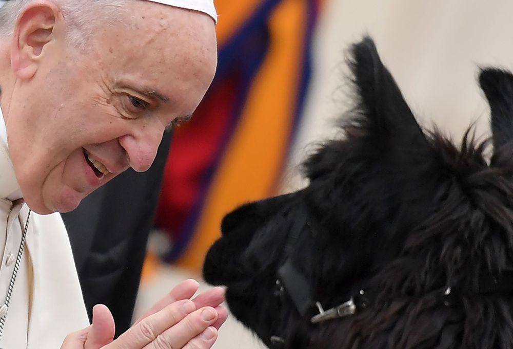 Pāvests Francisks