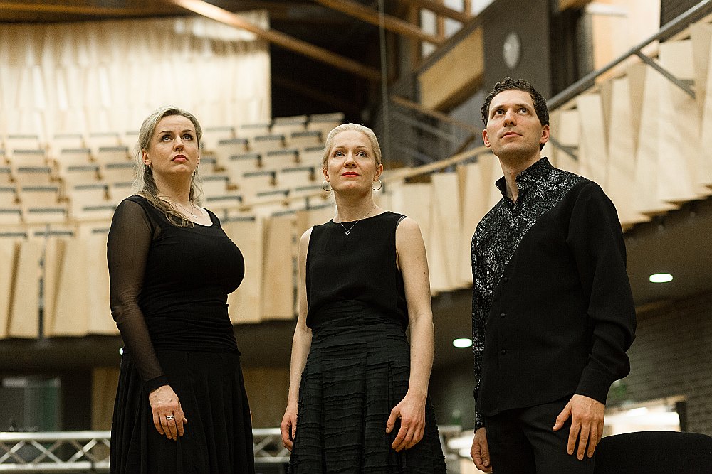 Ansamblis “Trio Palladio”.