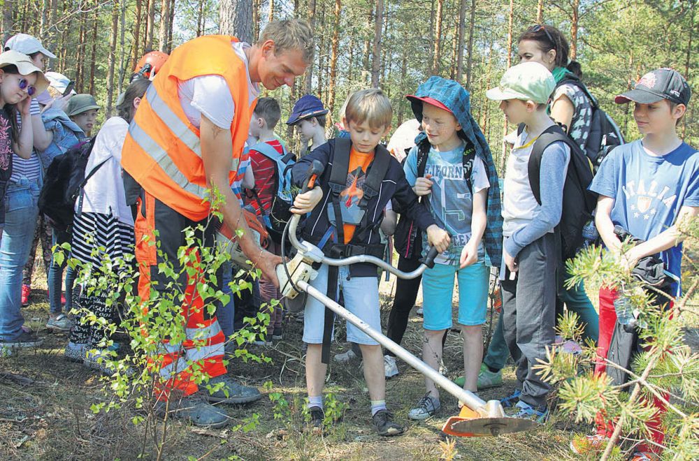 Ar labu tehniku – krūmgriezi –, puikas gatavi arī jaunaudzes ravēšanai.
