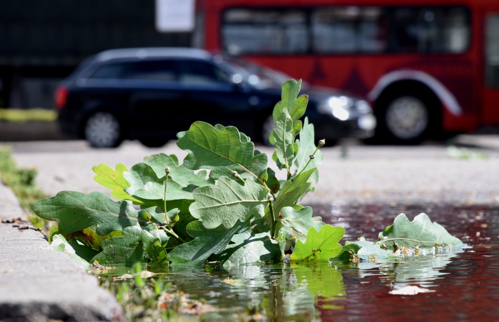 Rīga pēc negaisa, 22.06.2018.