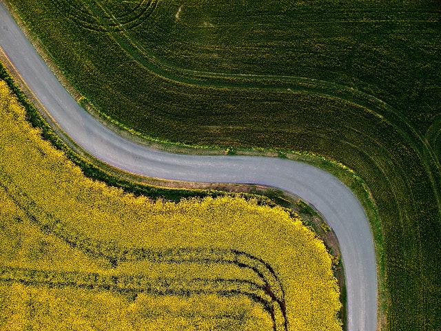 Foto – Pexels