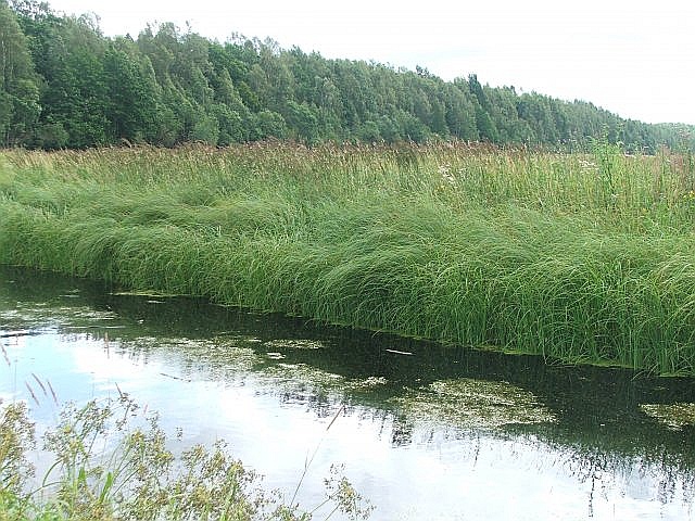 Iztaisnoto Skudrupīti raksturo grāvim līdzīgs – izteikti trapecveidīgs gultnes profils bez seklūdens zonas upes piekrastes daļā, kura piemērota ūdensaugu attīstībai.