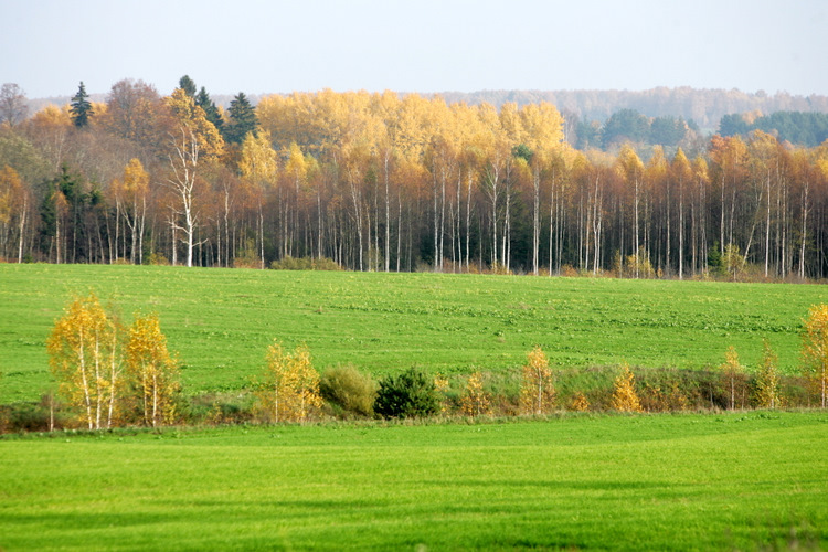 Petnieks Latvijas Ainava Pedejos Gados Mainas Loti Strauji La Lv