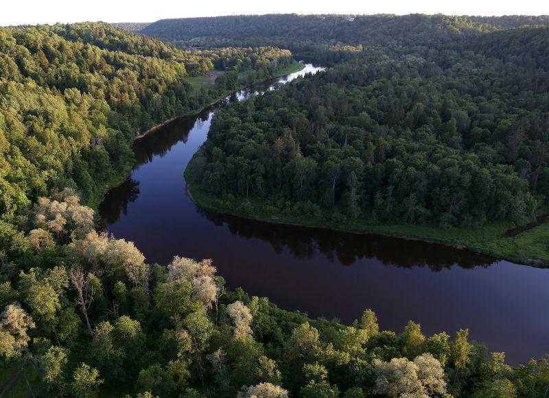 Gauja