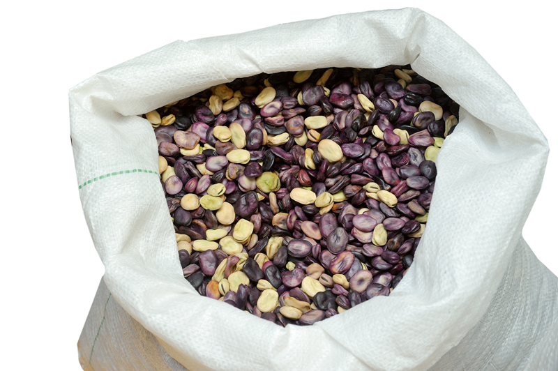 Četru šķirņu cūku pupas ar baltām, zaļām, sarkanām un violetām sēklām.