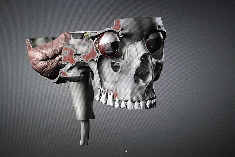 Interaktīvā lietotne viedtālrunī un programma datorā topošajiem ārstiem palīdz pilnvērtīgi apgūt cilvēka anatomiju trīs dimensiju (3D) formātā ar papildinātas realitātes iespējām.
