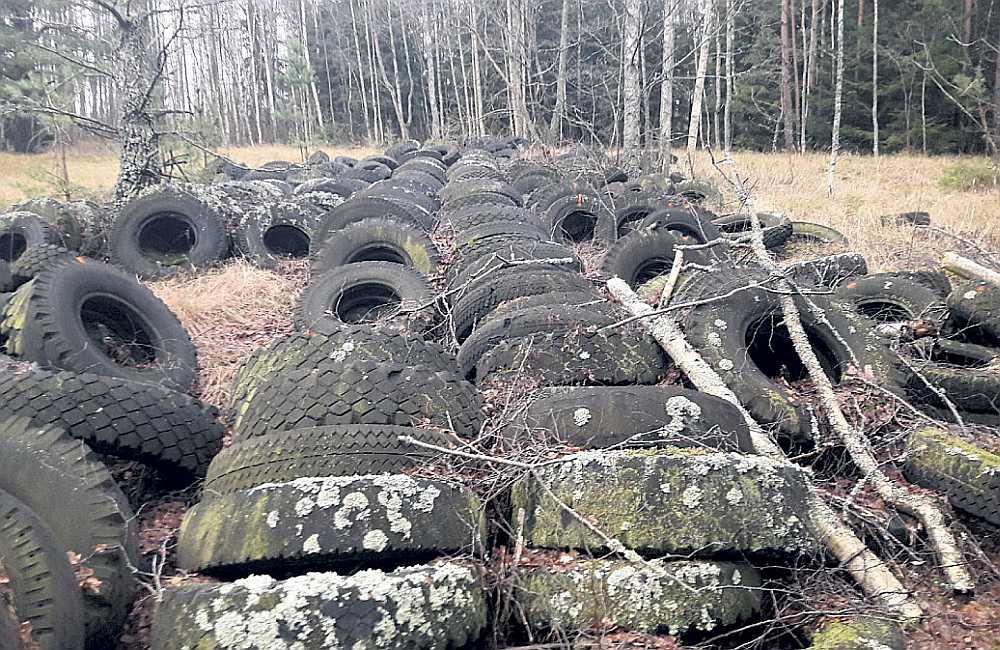 Riepu kalni dabas parkā “Pape” atrodas kopš Padomju Savienības laikiem. Trīsdesmit gadu laikā neviens tās nav aizvācis.