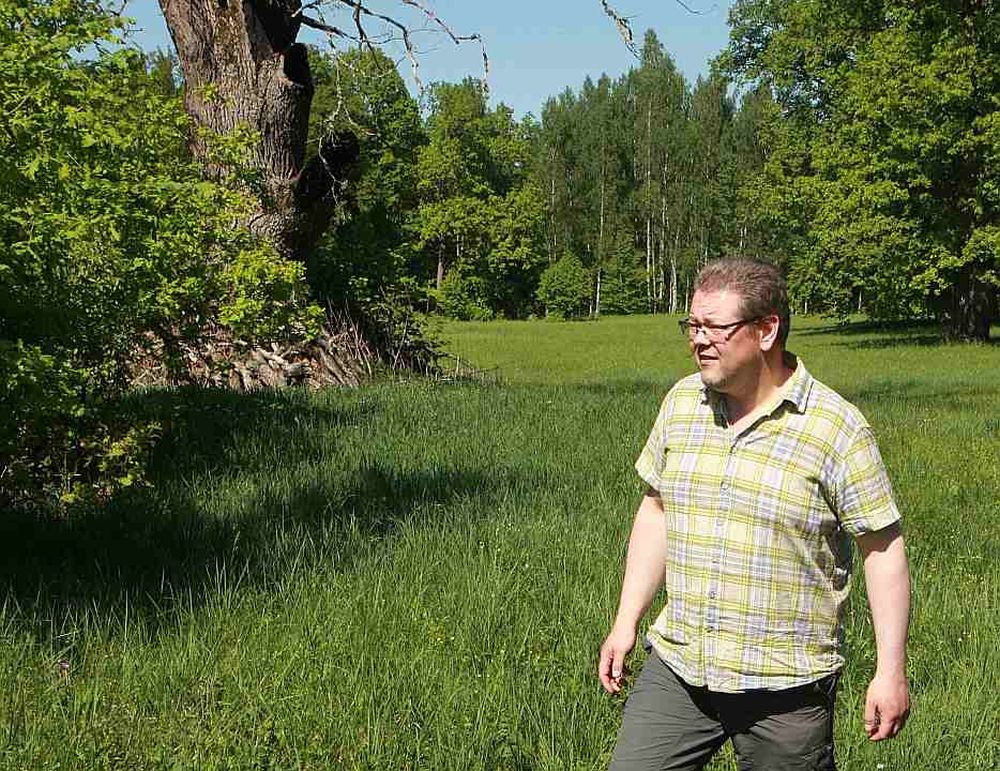 Biologs Viesturs Lārmanis teic, ka arī nokaltušu koku vajag atstāt ainavā, jo no bioloģiskās daudzveidības viedokļa tas dažkārt ir pat vērtīgāks nekā dzīvs koks.