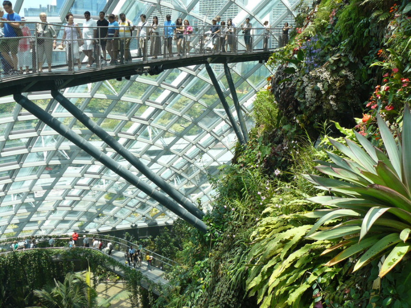 Cloud Forest jeb Lietusmeža paviljonā.