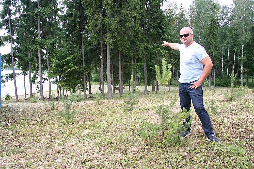 Boriss Veļičko pie paša stādītajām priedītēm, kas aug nopirktās kailcirtes vietā. Fonā “iekārtotā pludmale”, kas tik bargi izskanēja tiesas zālē no prokurores teiktā.