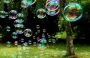 Foto – Pixabay
