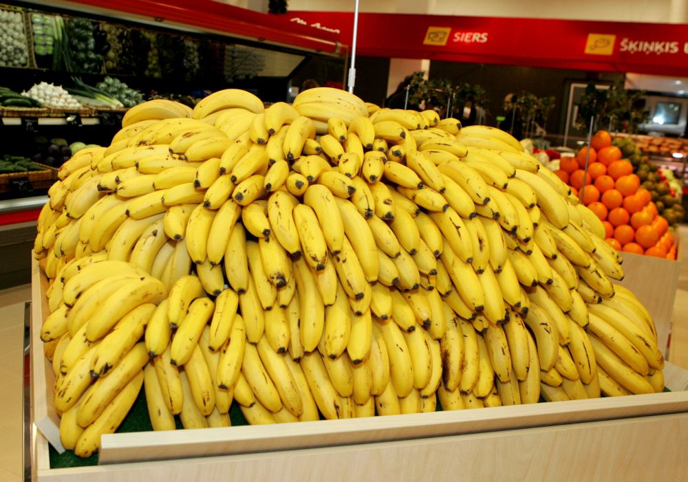 Attēlu rezultāti vaicājumam “banani”