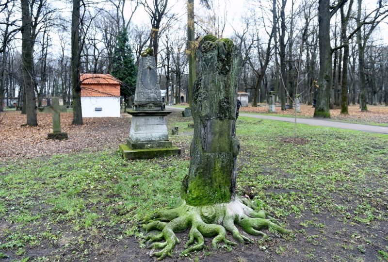 Lielie kapi Rīgā.