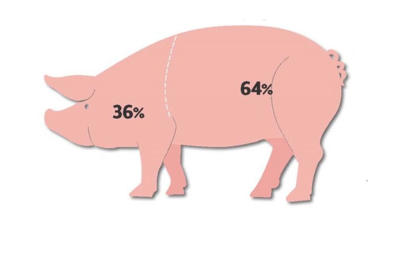Patlaban Latvijā paliek vien 36% no saražotās cūkgaļas, pārējo pamanāmies eksportēt, savukārt pārstrādes vajadzībām 64% tiek ievesti no ES.
