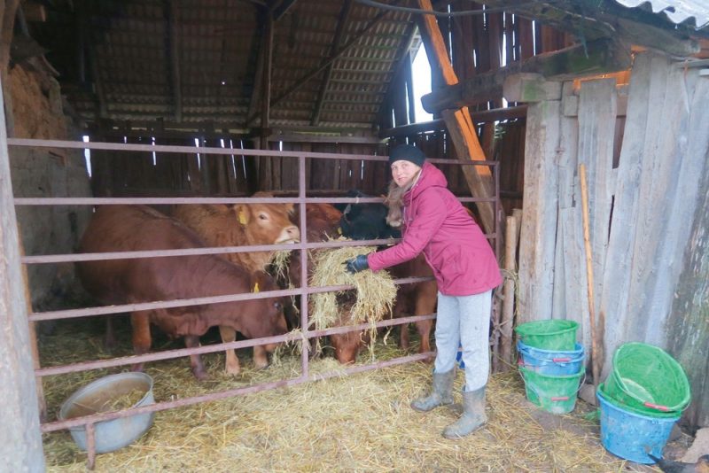 ” Laumu” saimniece Jolanta Klāviņa aicina atbalstīt mazās saimniecības, kamēr vēl tās darbojas.
