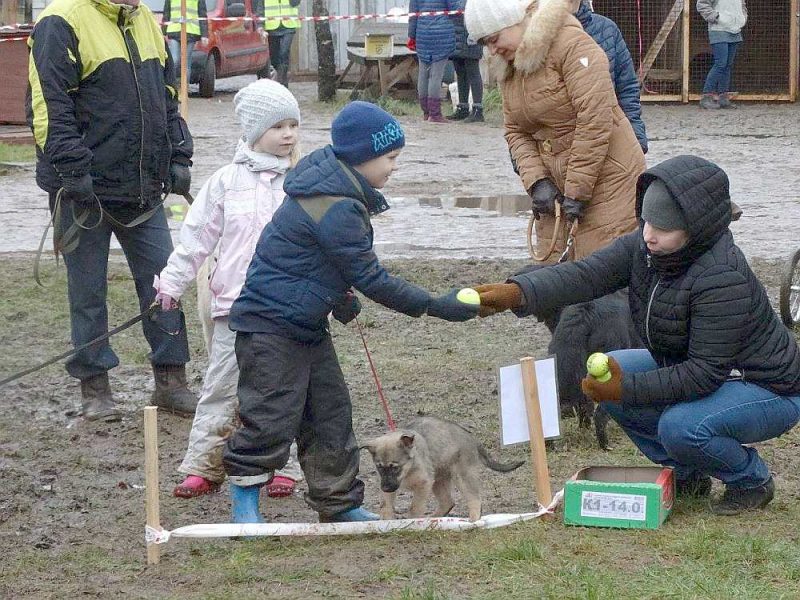 Arī suņi grib saņemt Ziemassvētku dāvanas, un lielākā no tām ir cilvēku uzmanība.