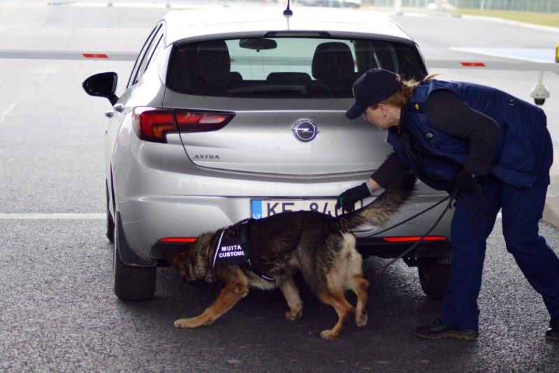 Iluztratīvs foto.