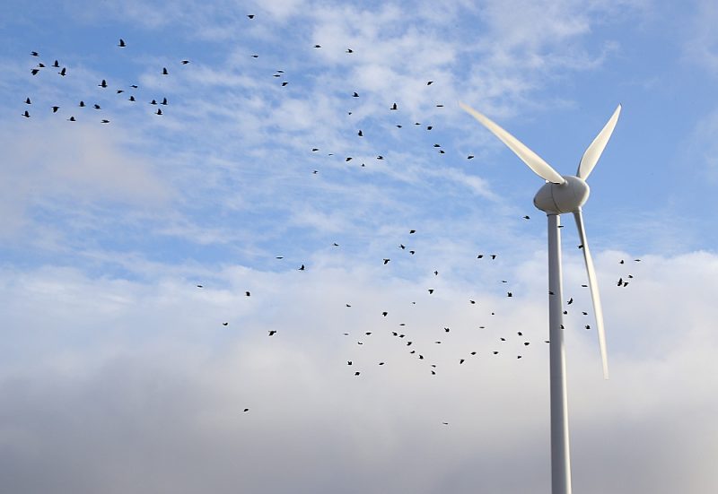 Atjaunojamo Latvijas energoresursu mērķa izpilde (40% kopējā energobilancē 2020. gadā un 45% 2030. gadā) bez publiskajiem līdzekļiem periodā līdz 2020. gadam nav iespējama.