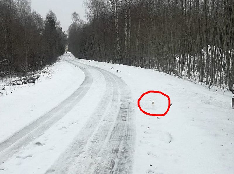 Ģimene ar motorolleru uz Meža ielas izbraukusi no takas (attēlā labajā pusē, kur tagad noliktas svecītes). Ielai no abām pusēm šajā krūmainajā posmā gan ir ceļa zīme “Iebraukt aizliegts”. Motorolleram uztriecies busiņš, kurš braucis pretī.