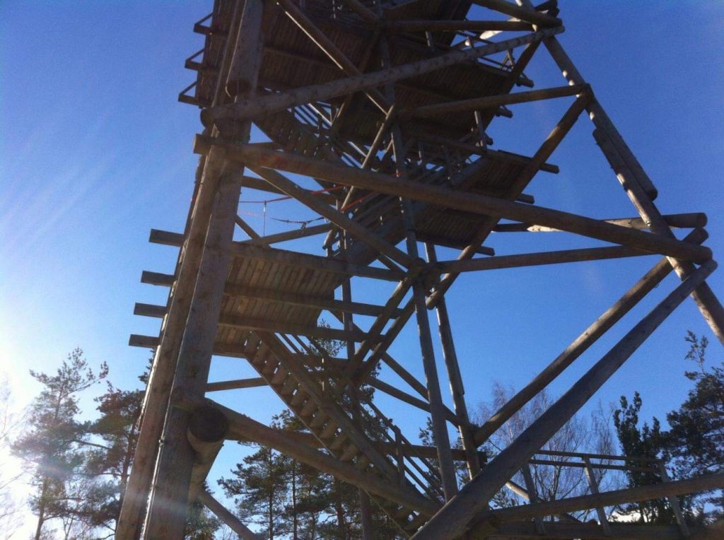 Liepukalna skatu tornis